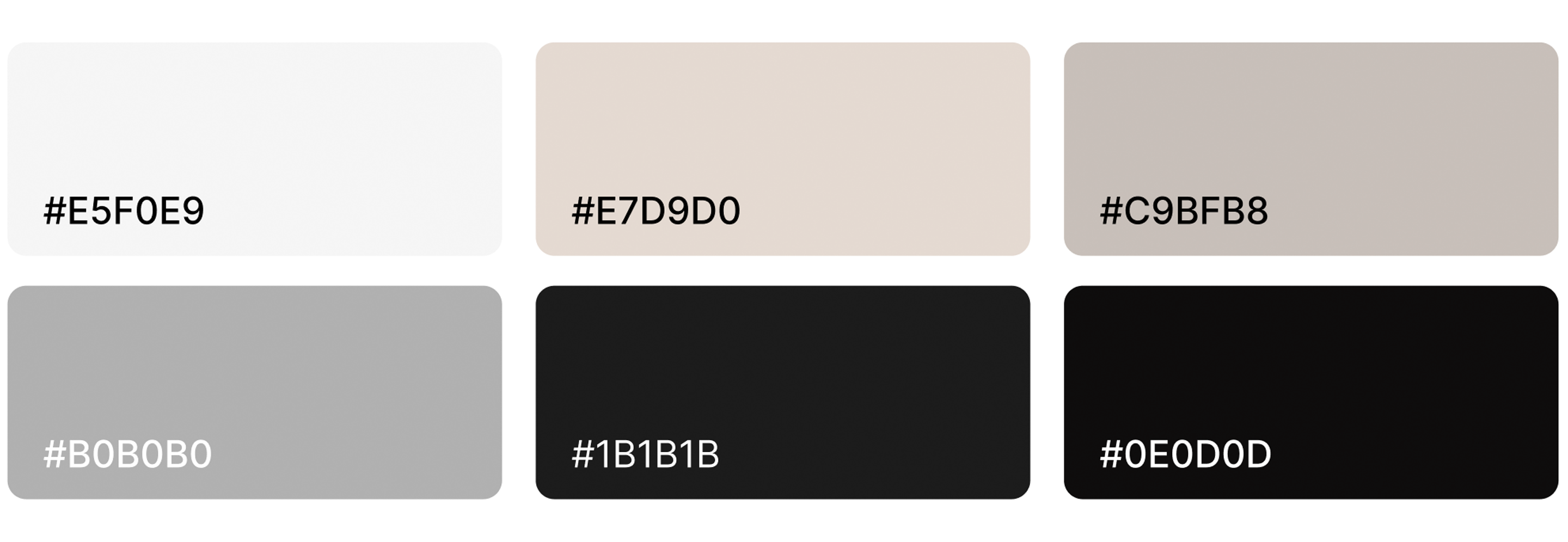 Color Palette